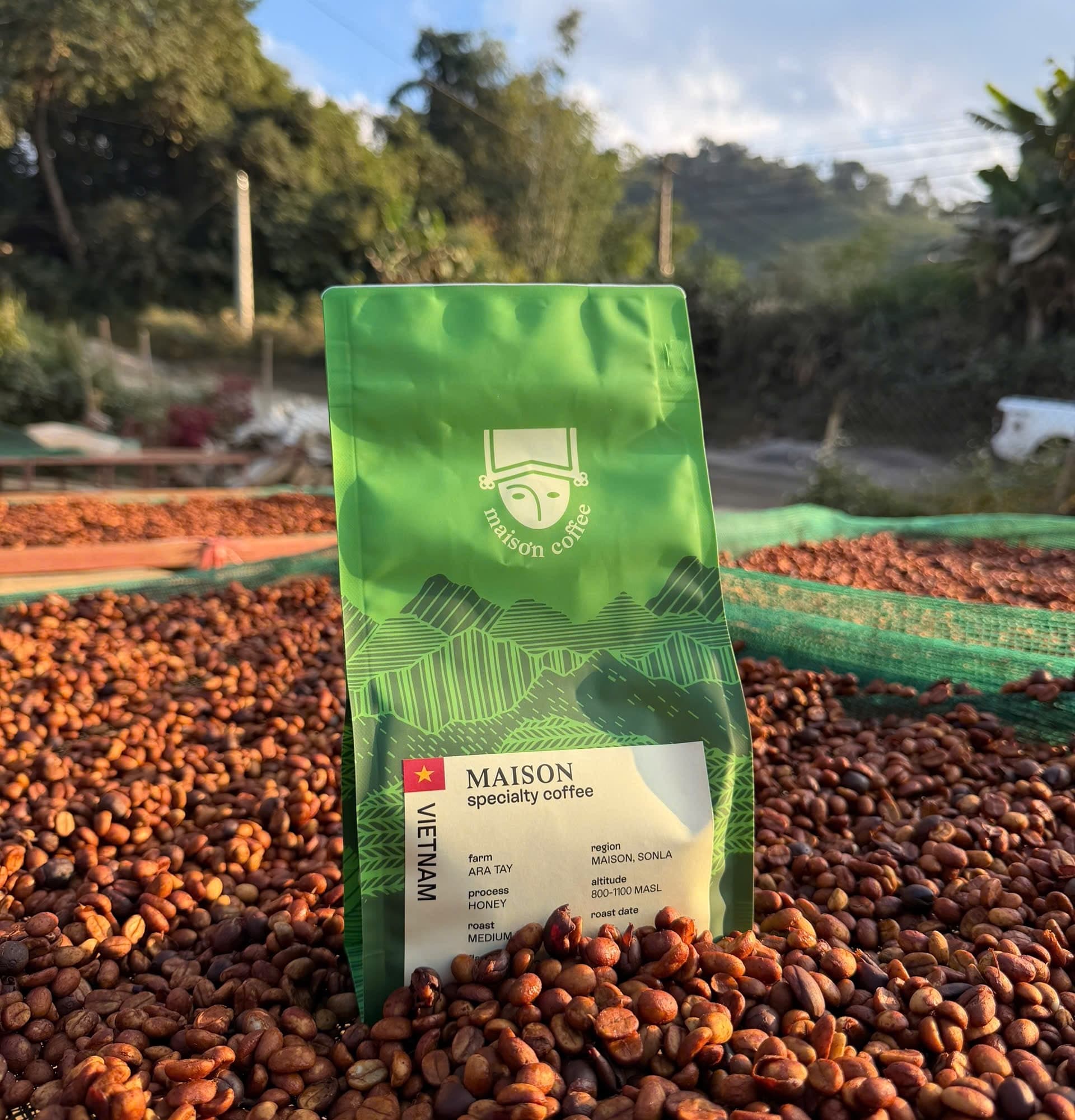 Bag of Maison Specialty coffee standing among honey-processed coffee cherries drying at the farm in Sơn La, Vietnam